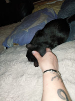 /album/20-10-2025/afbeelding-van-whatsapp-op-2025-10-19-om-21-12-44-76289774-jpg/